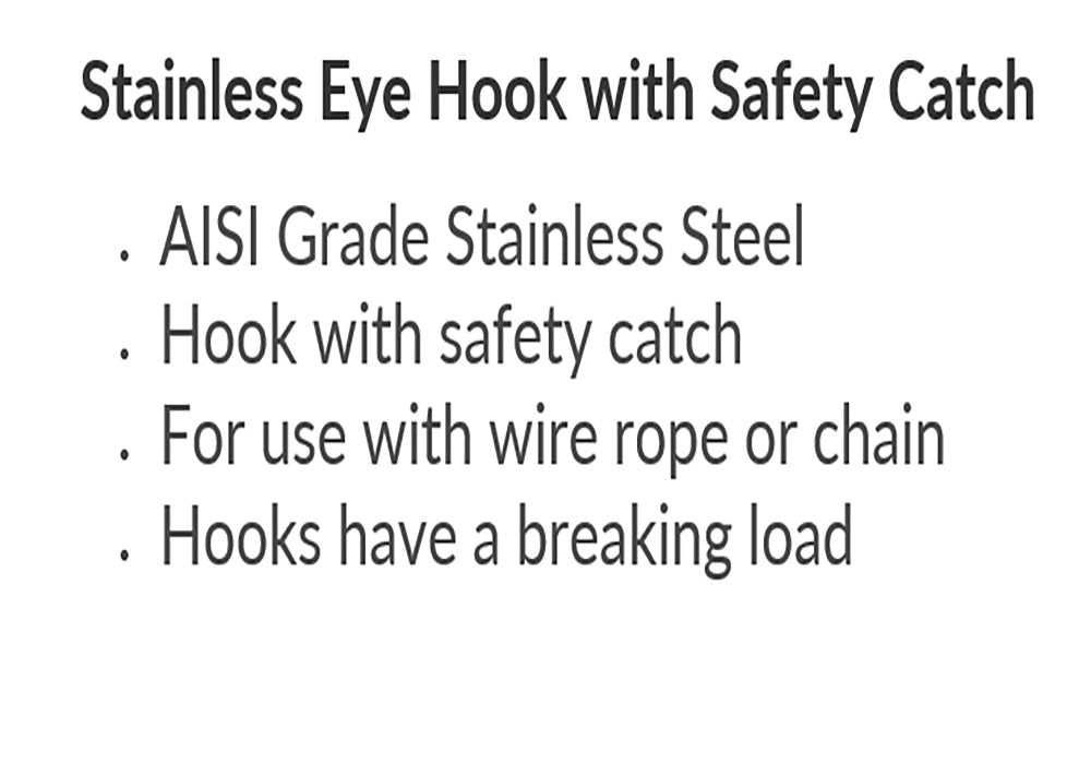 6MM STAINLESS STEEL EYE HOOK SAFETY CATCH
